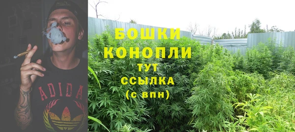 прущие крисы Щёлкино